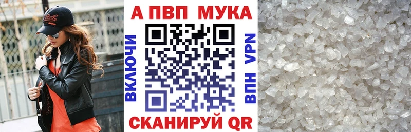 дарнет шоп  Выборг  А ПВП СК 
