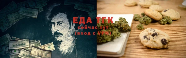 крисы Бородино
