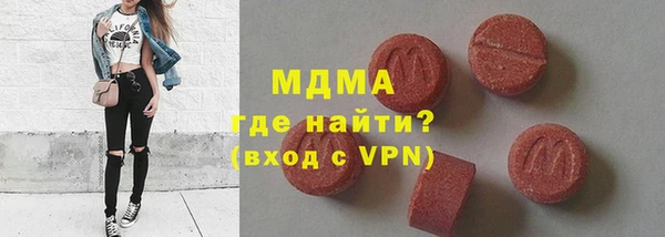 крисы Бородино