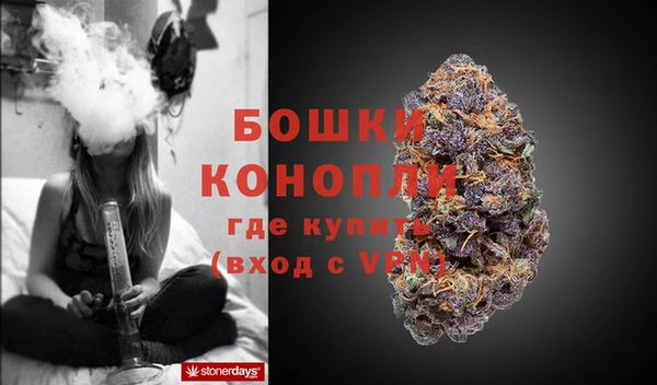 крисы Бородино